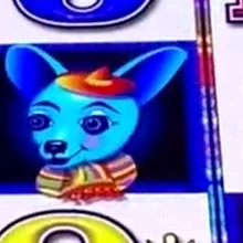 More Chilli chihuahua symbol
